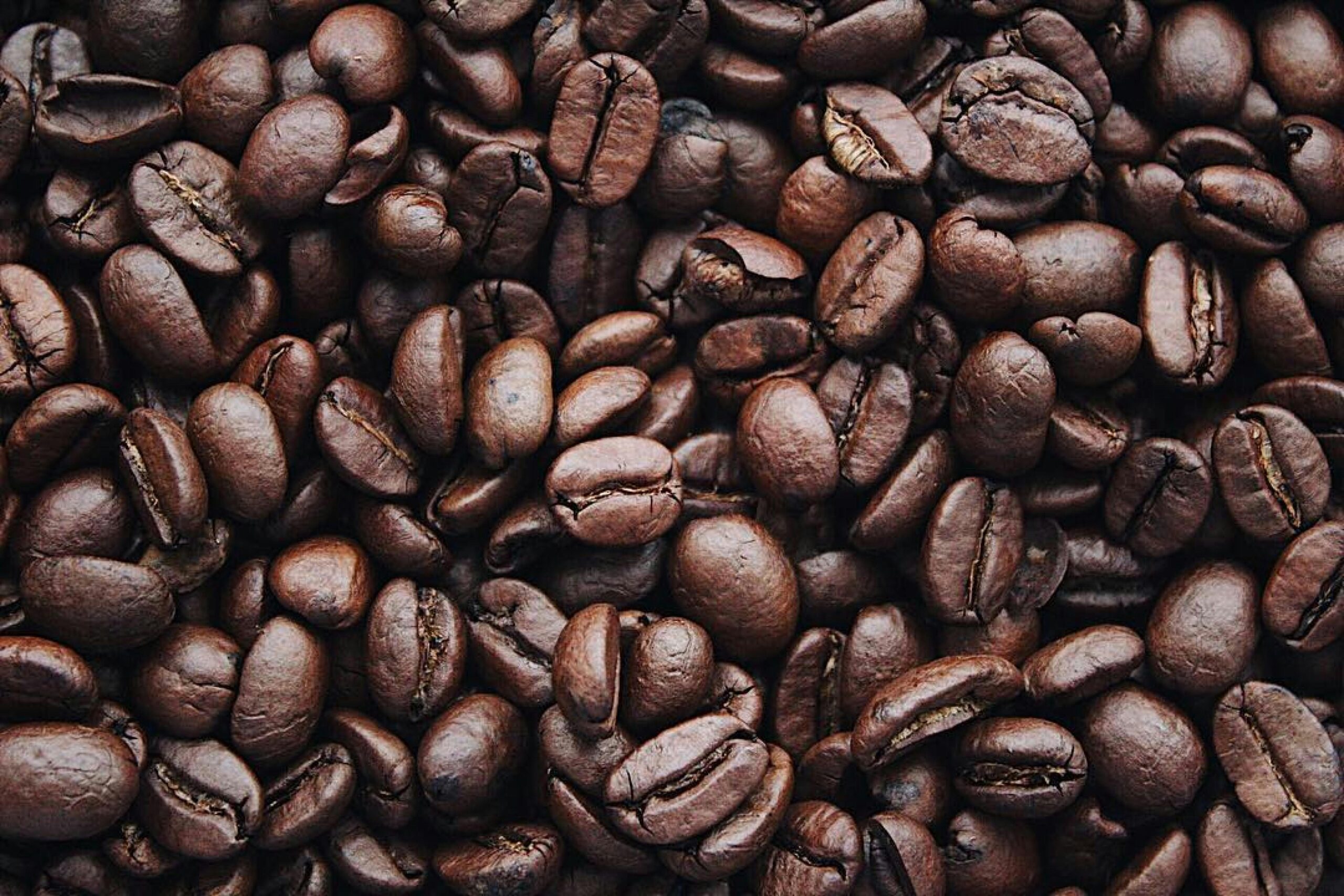 Wat is de duurste koffie ter wereld?
